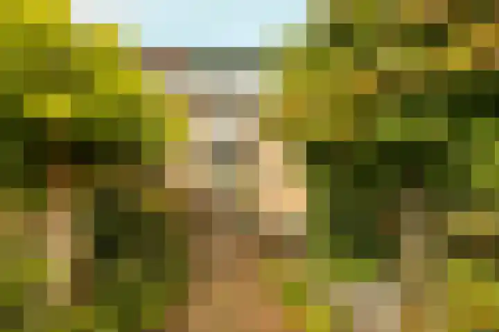 Nobeldreef 32 Schoonhoven thumbnail 8