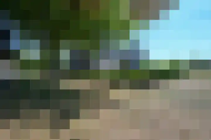 Nobeldreef 95 Maassluis thumbnail 36