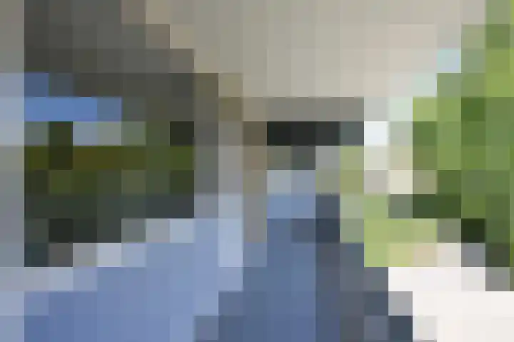 Nobeldreef 95 Maassluis thumbnail 8