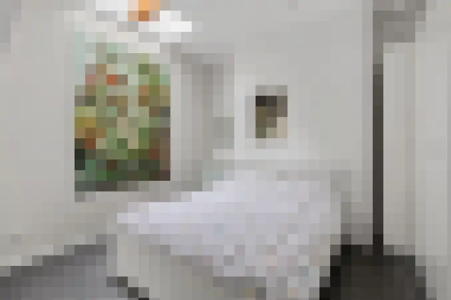 Nobeldwarsstraat 10 B Utrecht thumbnail 20
