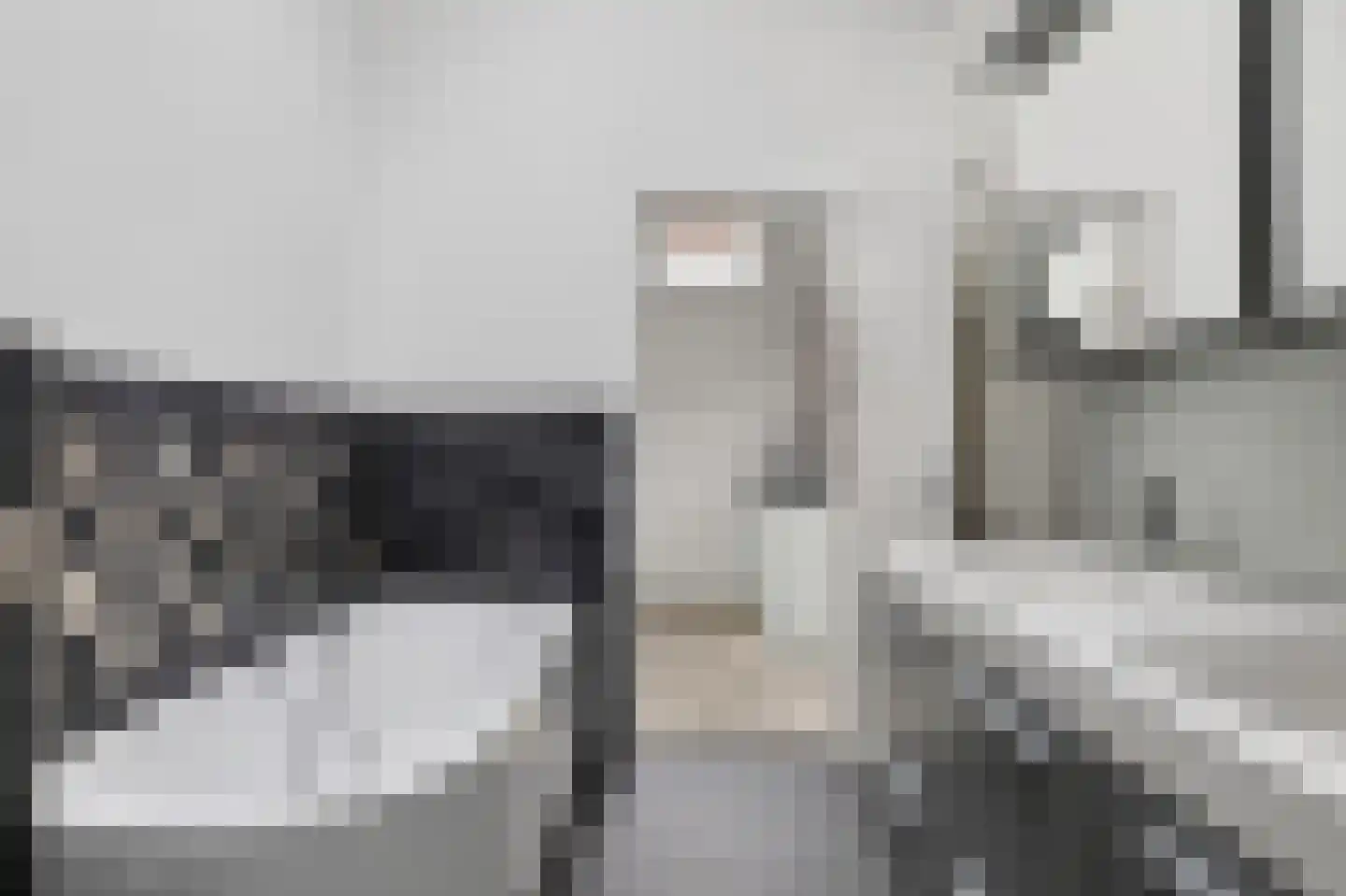 Nobeldwarsstraat 10 B Utrecht thumbnail 31