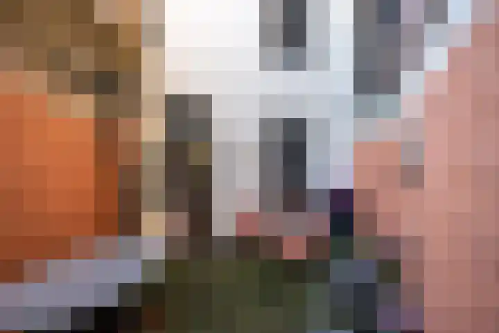 Nobeldwarsstraat 4 Utrecht thumbnail 11