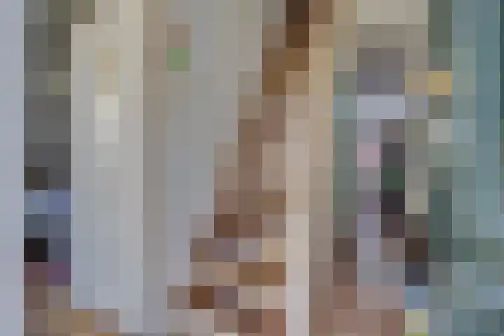 Nobeldwarsstraat 4 Utrecht thumbnail 4