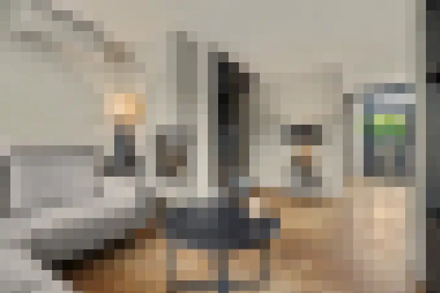 Nobellaan 1 Vlijmen thumbnail 11