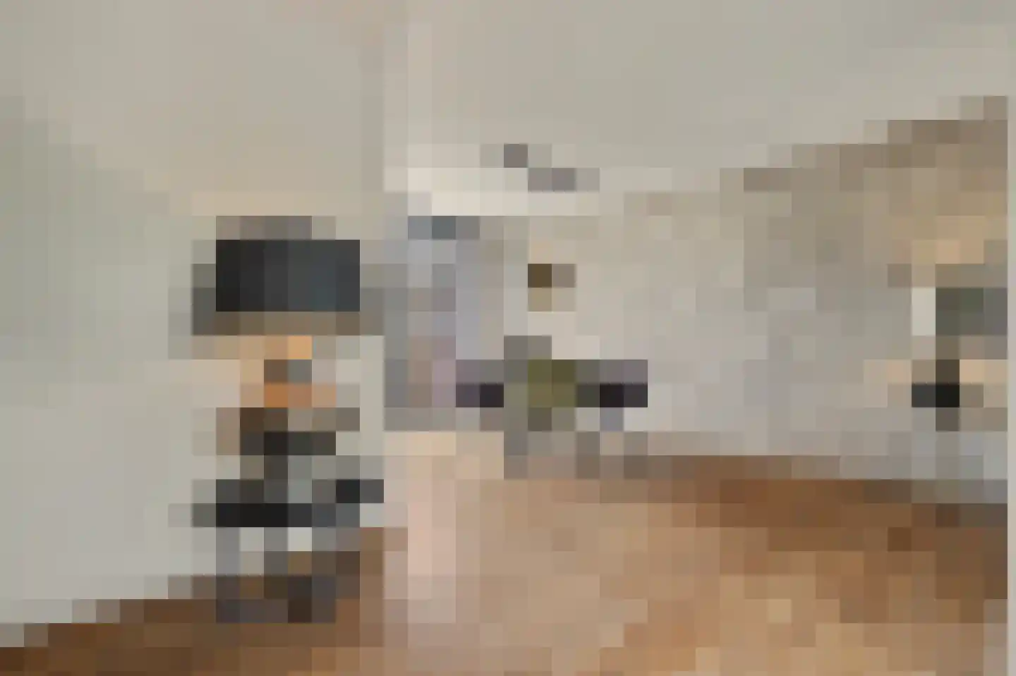 Nobellaan 1 Vlijmen thumbnail 12