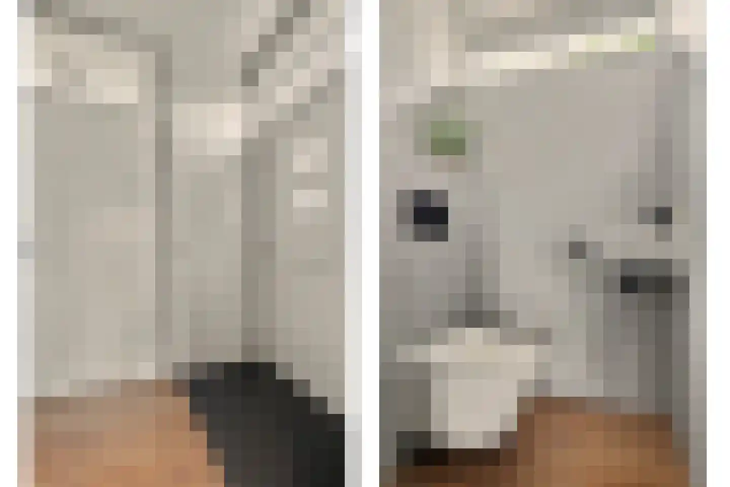 Nobellaan 1 Vlijmen thumbnail 14