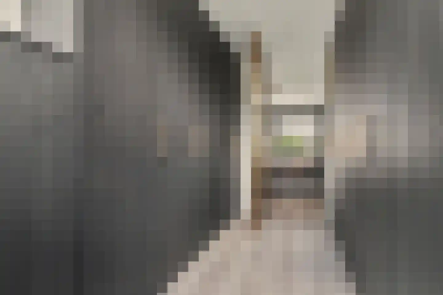 Nobellaan 1 Vlijmen thumbnail 18