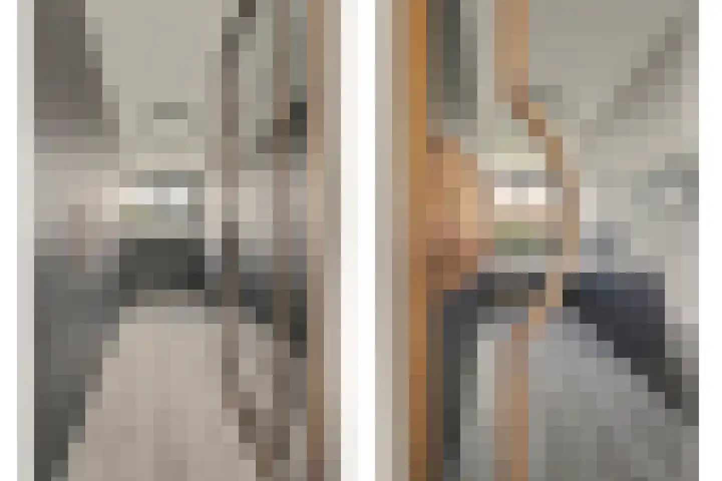 Nobellaan 1 Vlijmen thumbnail 19