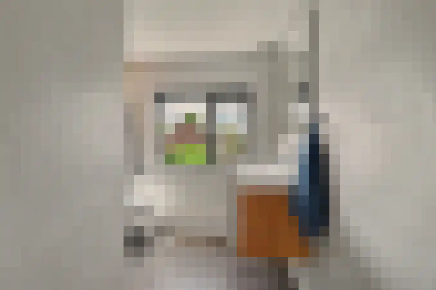 Nobellaan 1 Vlijmen thumbnail 22