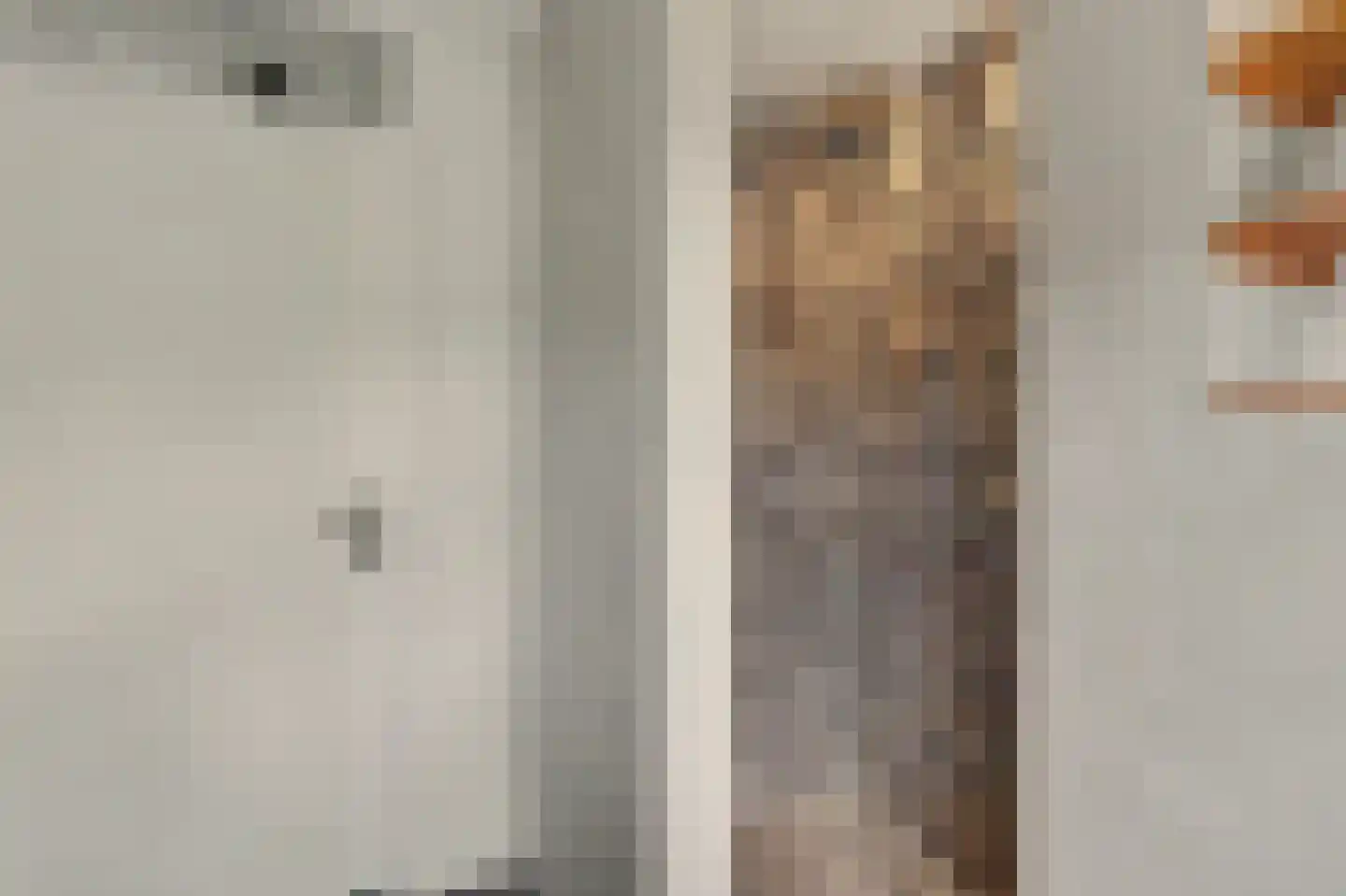 Nobellaan 1 Vlijmen thumbnail 24
