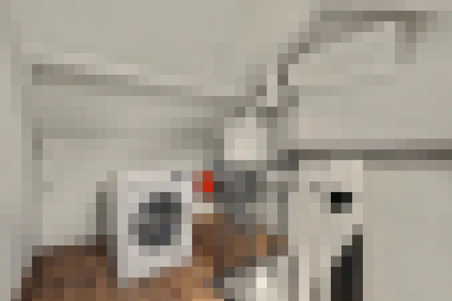 Nobellaan 1 Vlijmen thumbnail 31