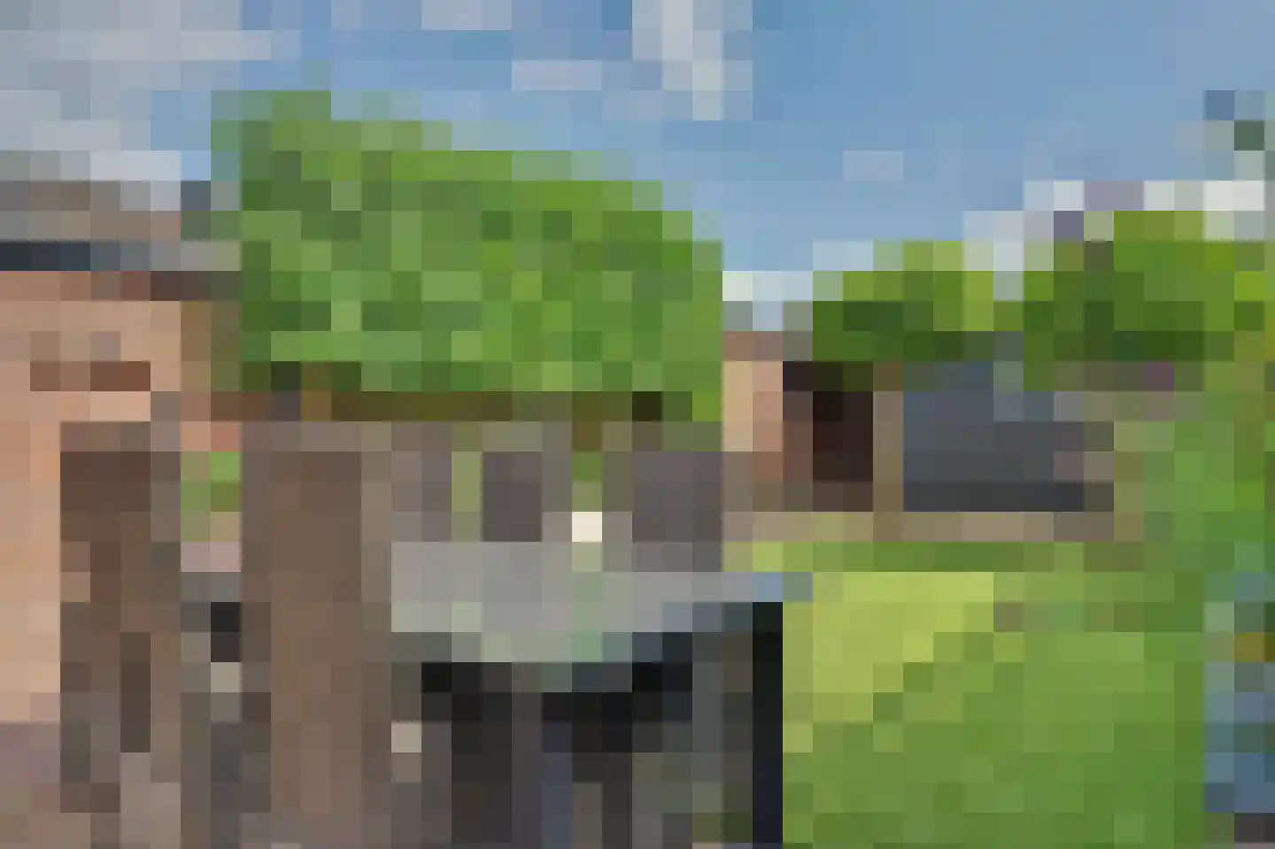 Nobellaan 1 Vlijmen thumbnail 34
