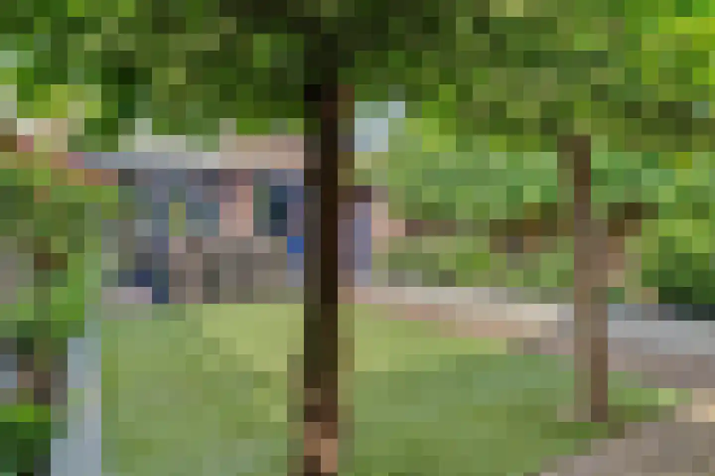 Nobellaan 1 Vlijmen thumbnail 35