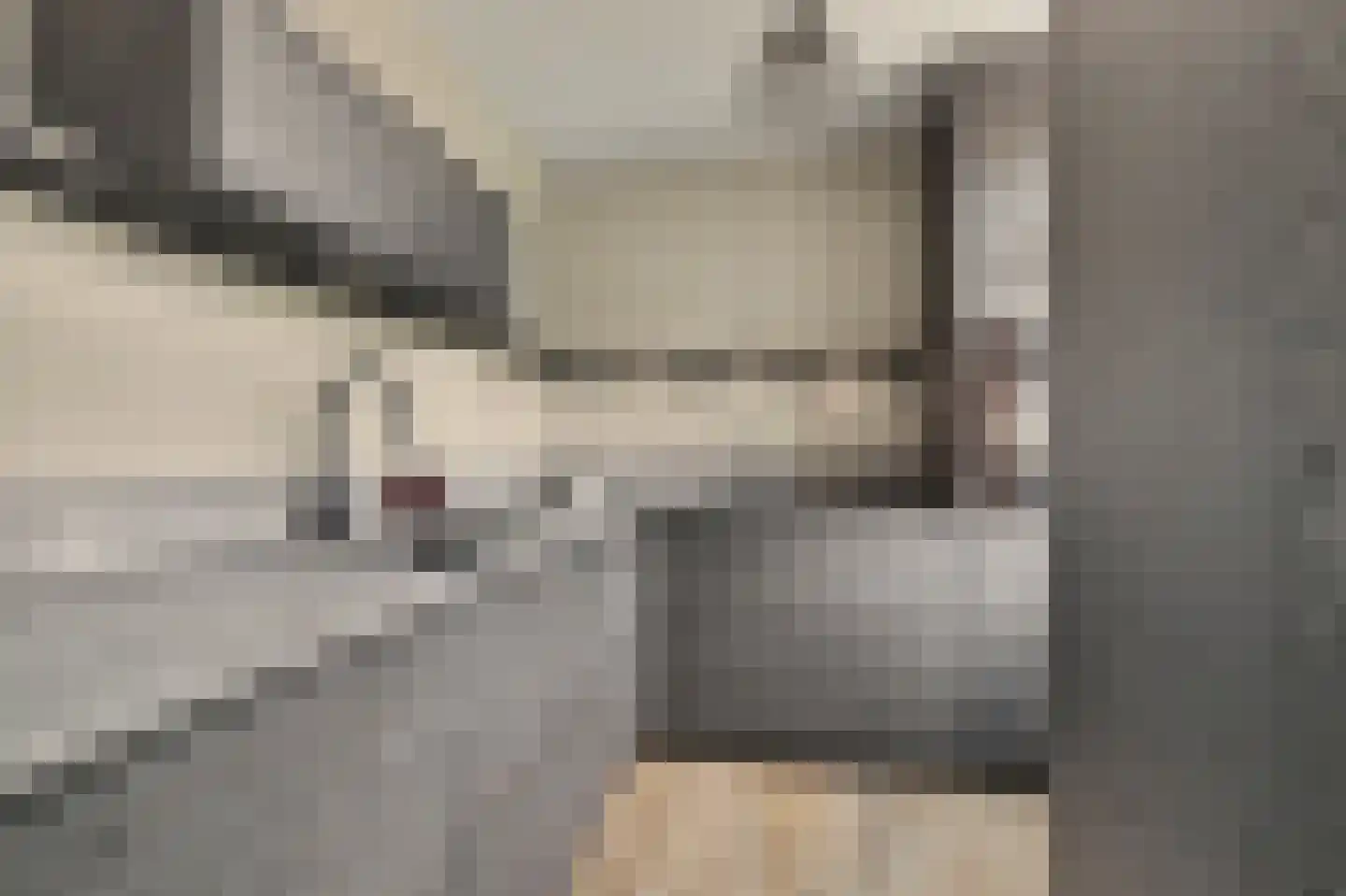 Nobellaan 1 Vlijmen thumbnail 4