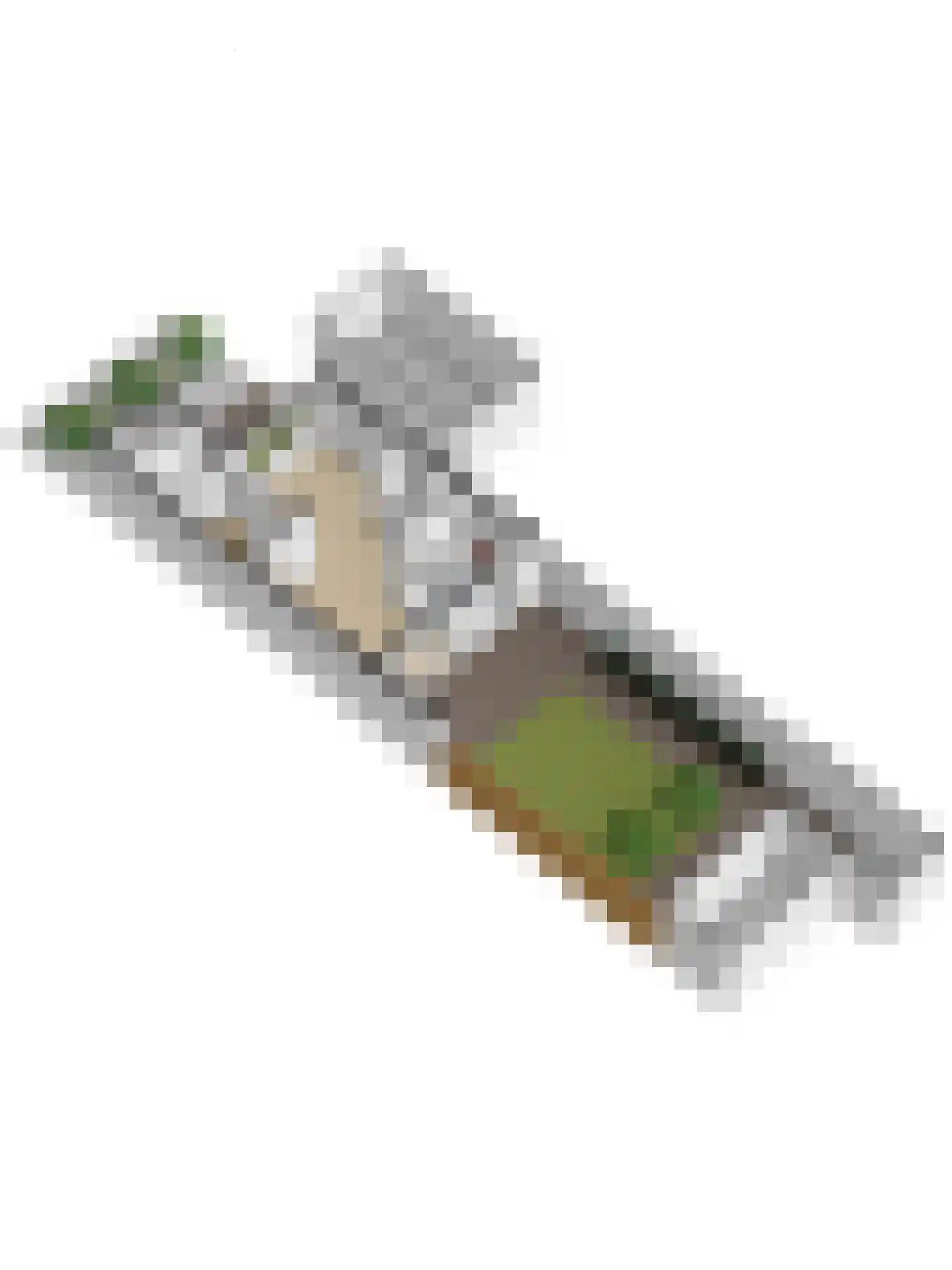 Nobellaan 1 Vlijmen thumbnail 54