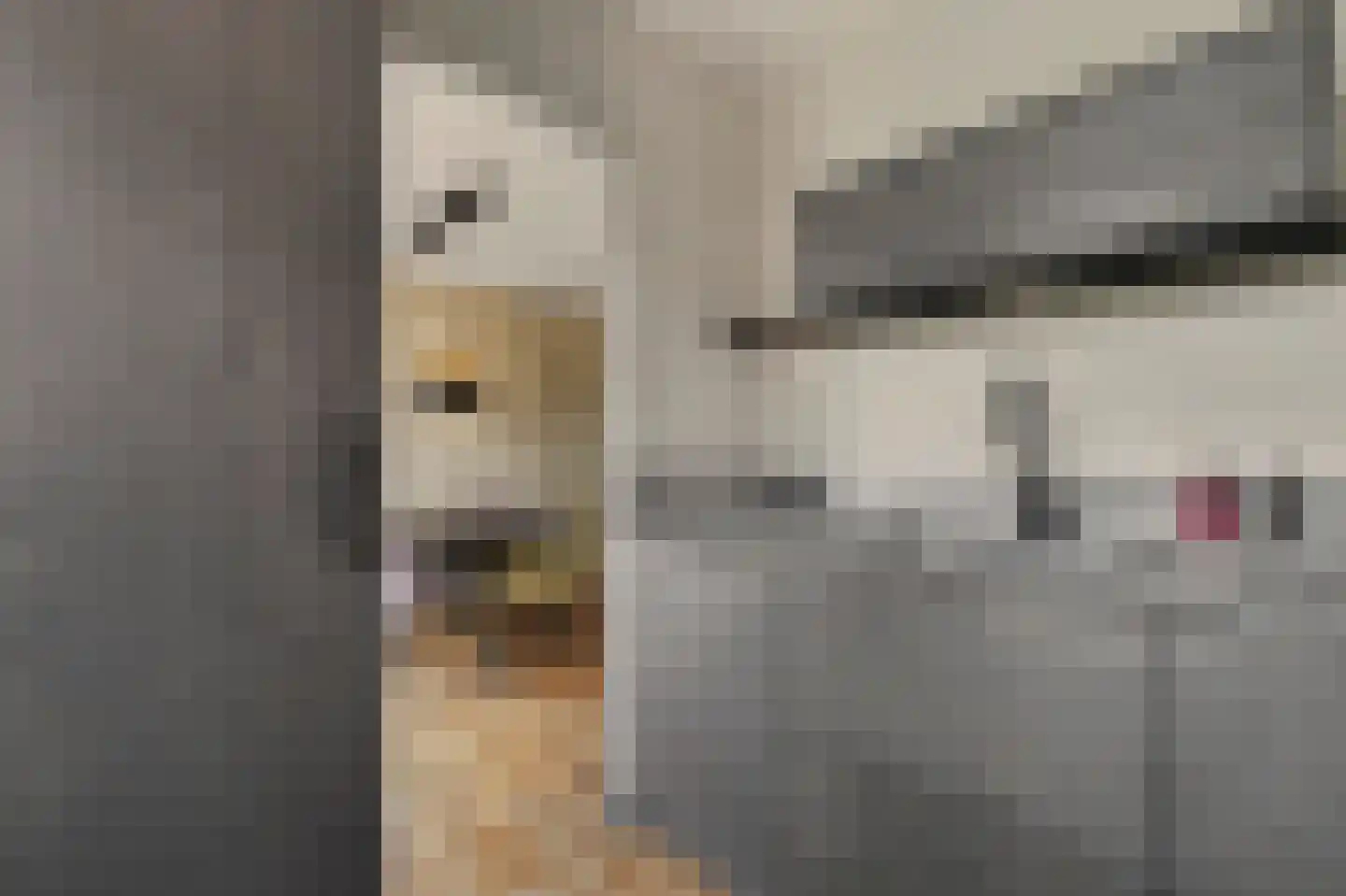Nobellaan 1 Vlijmen thumbnail 6