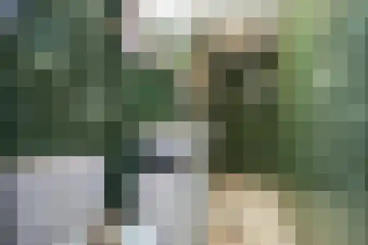 Nobellaan 106 Assen thumbnail 36