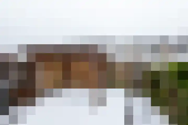 Nobellaan 146 Assen thumbnail 21