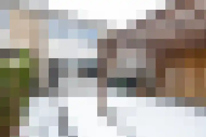 Nobellaan 146 Assen thumbnail 22