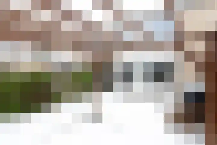 Nobellaan 146 Assen thumbnail 23