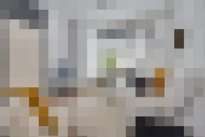 Nobellaan 146 Assen thumbnail 4