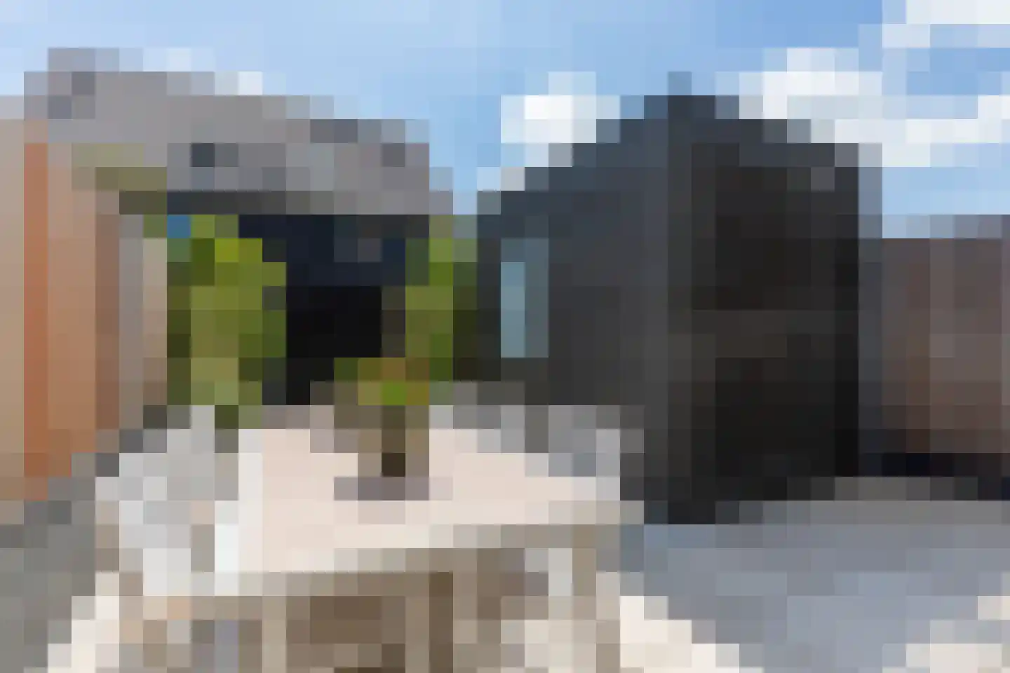 Nobellaan 184 Almere thumbnail 22