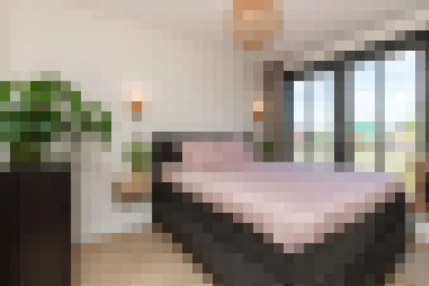 Nobellaan 184 Almere thumbnail 5