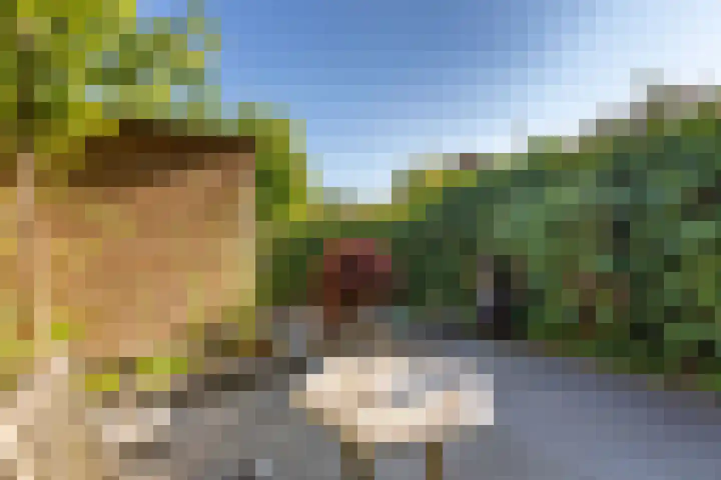 Nobellaan 20 Almere thumbnail 23