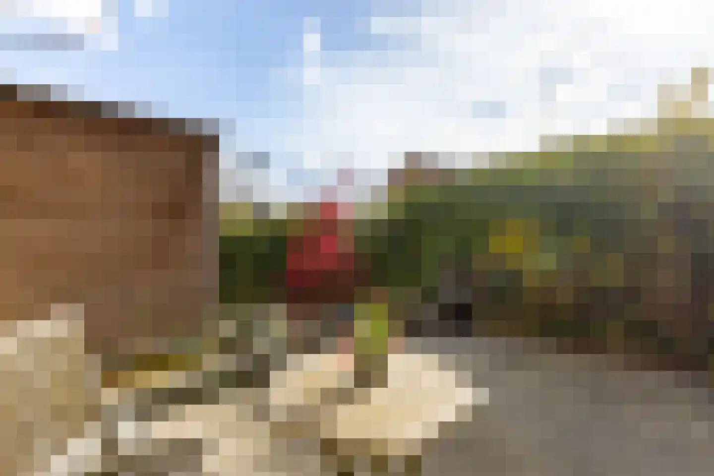 Nobellaan 20 Almere thumbnail 27
