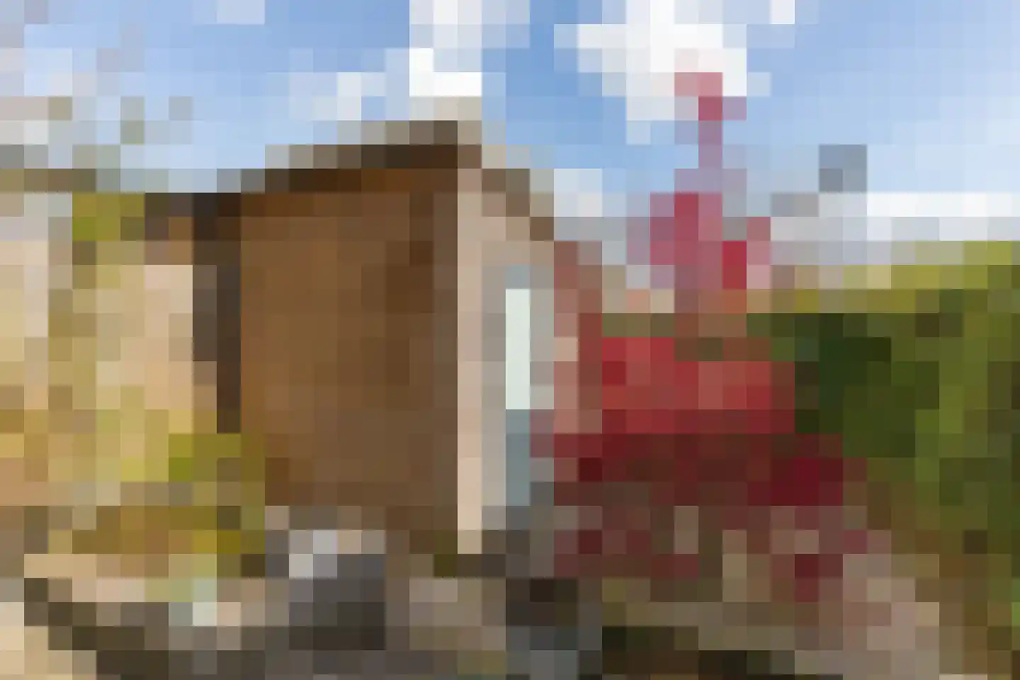 Nobellaan 20 Almere thumbnail 28