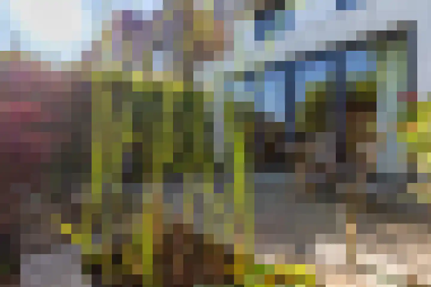 Nobellaan 20 Almere thumbnail 28