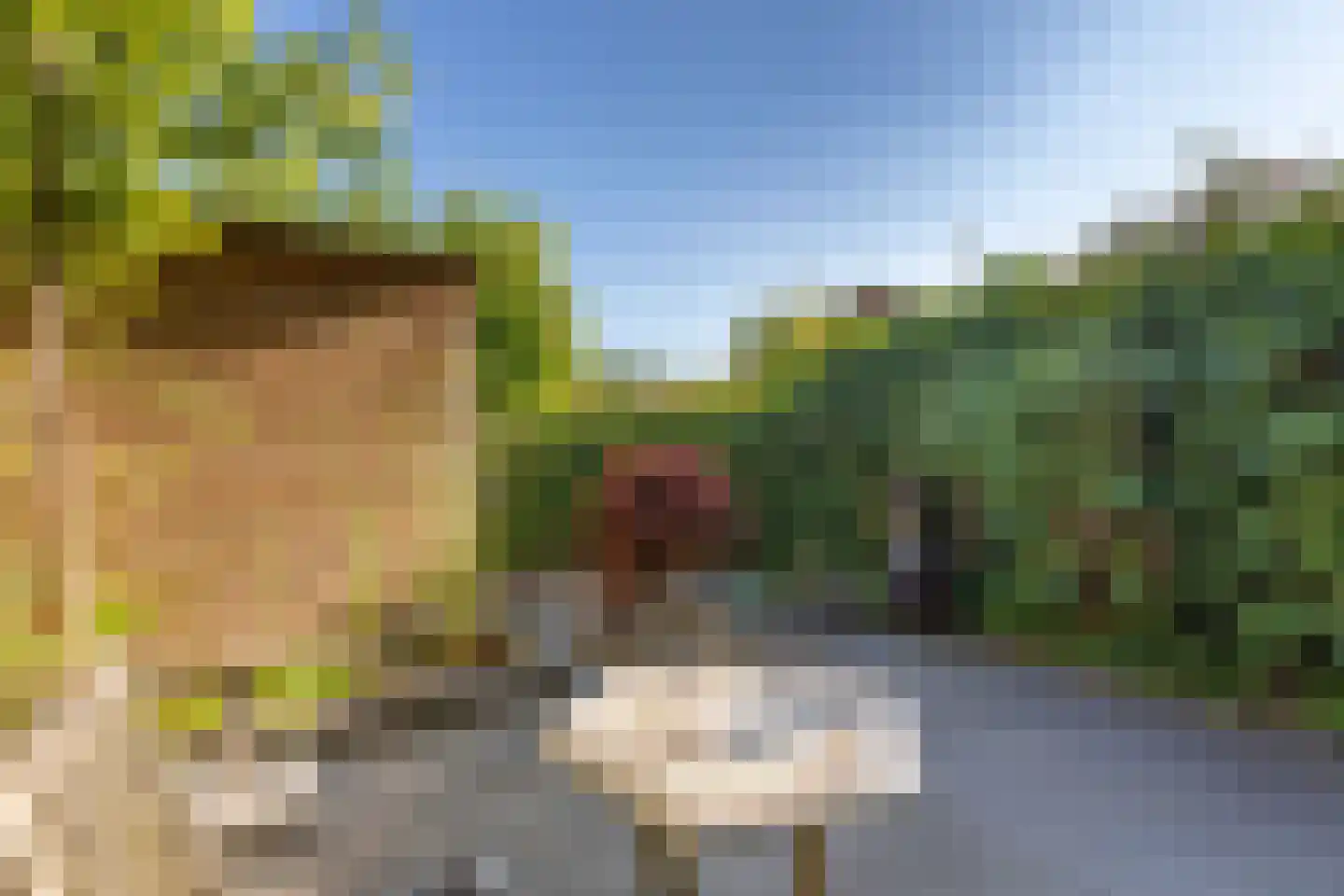 Nobellaan 20 Almere thumbnail 4