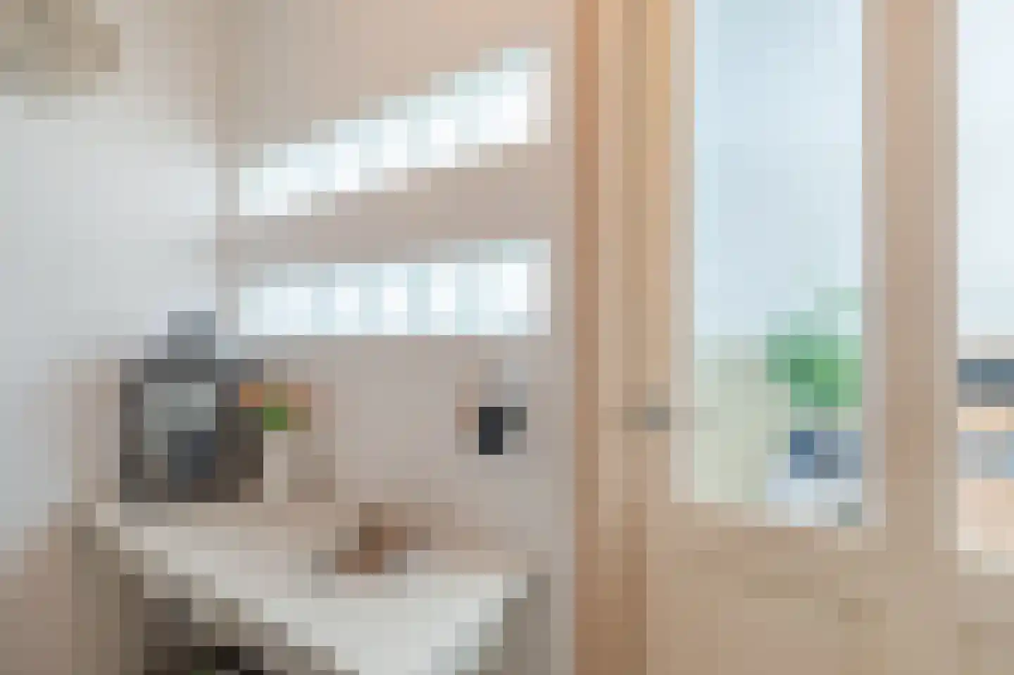 Nobellaan 217 Assen thumbnail 11