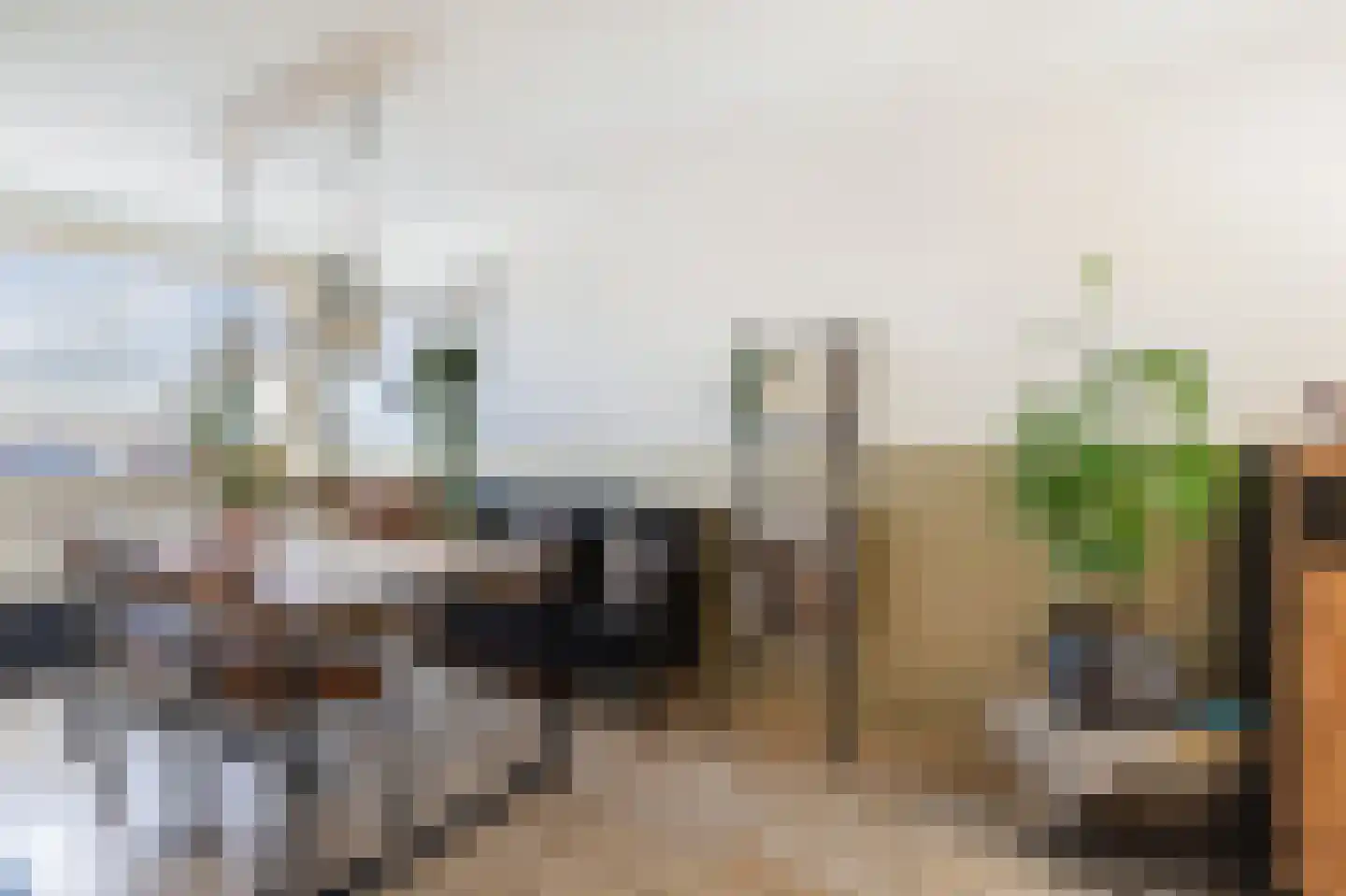 Nobellaan 217 Assen thumbnail 13