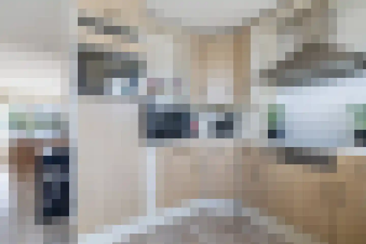 Nobellaan 217 Assen thumbnail 17