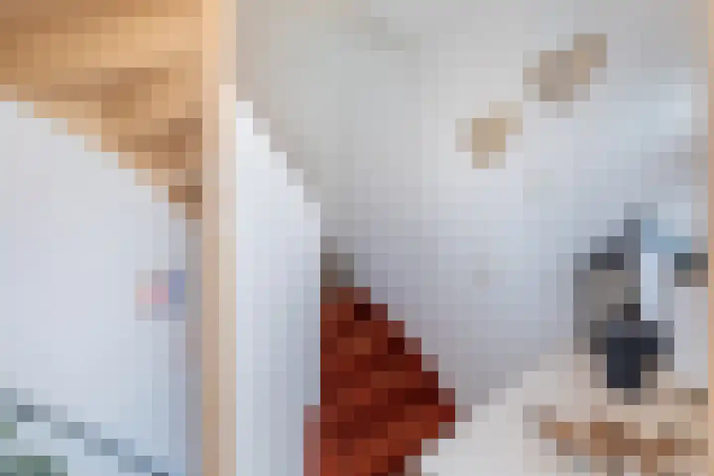 Nobellaan 217 Assen thumbnail 29