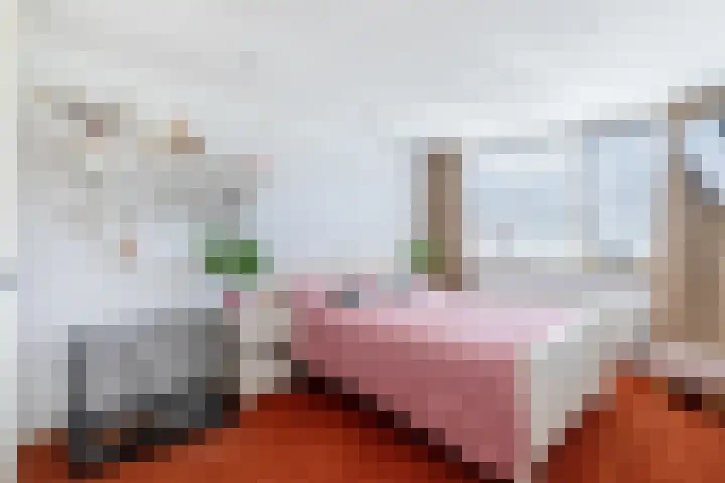 Nobellaan 217 Assen thumbnail 36