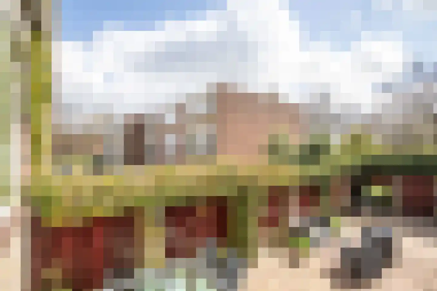 Nobellaan 217 Assen thumbnail 43