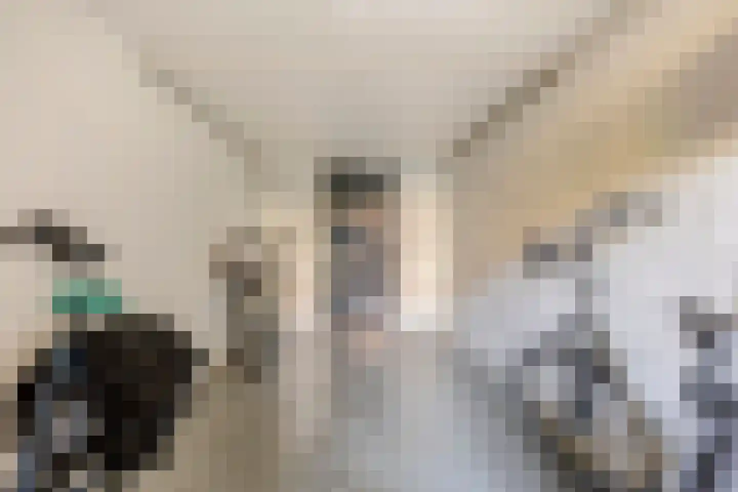 Nobellaan 22 Assen thumbnail 25