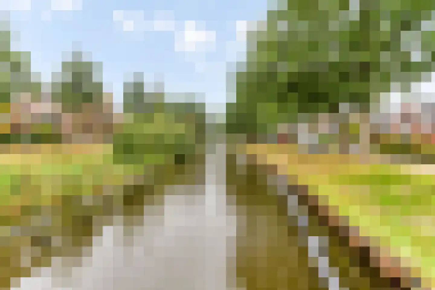 Nobellaan 22 Assen thumbnail 35