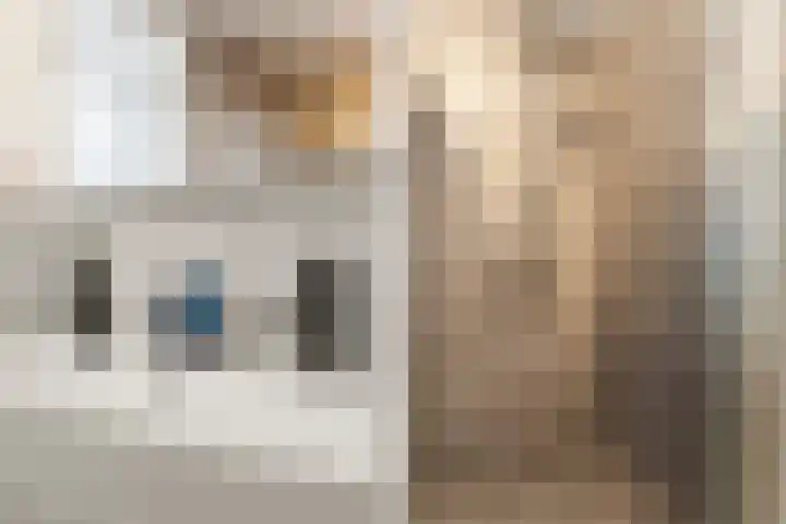Nobellaan 36 Almere thumbnail 33