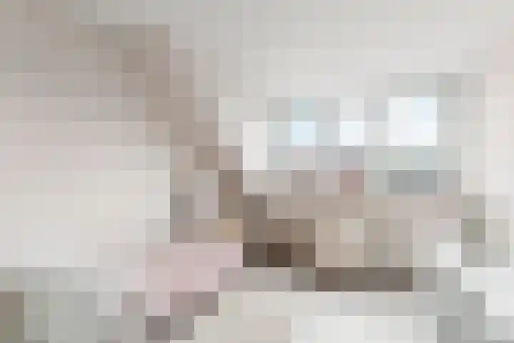 Nobellaan 36 Almere thumbnail 34