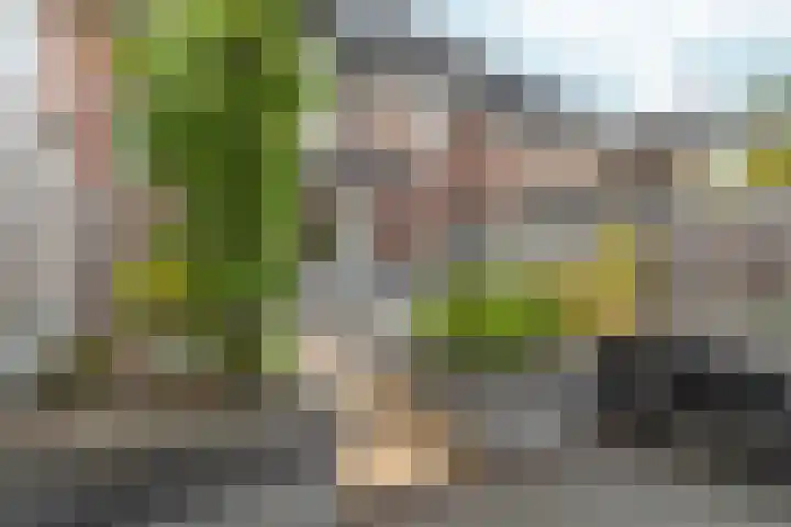 Nobellaan 36 Almere thumbnail 41