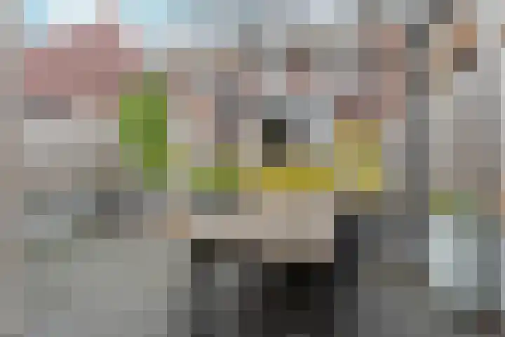 Nobellaan 36 Almere thumbnail 43