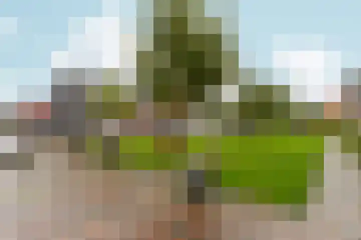 Nobellaan 36 Almere thumbnail 46