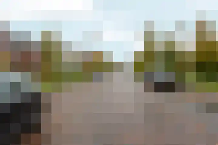 Nobellaan 36 Almere thumbnail 49