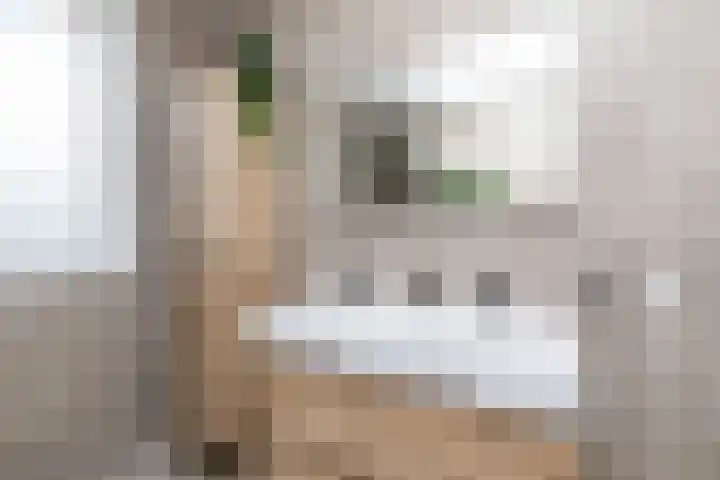 Nobellaan 47 Almere thumbnail 47