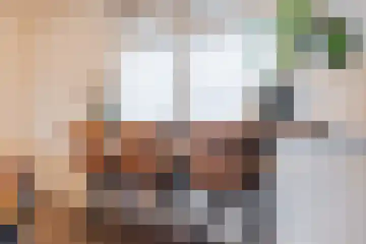 Nobellaan 47 Pijnacker thumbnail 8