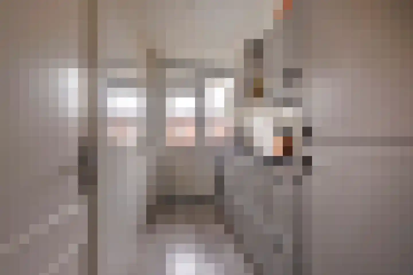 Nobellaan 48 Assen thumbnail 13