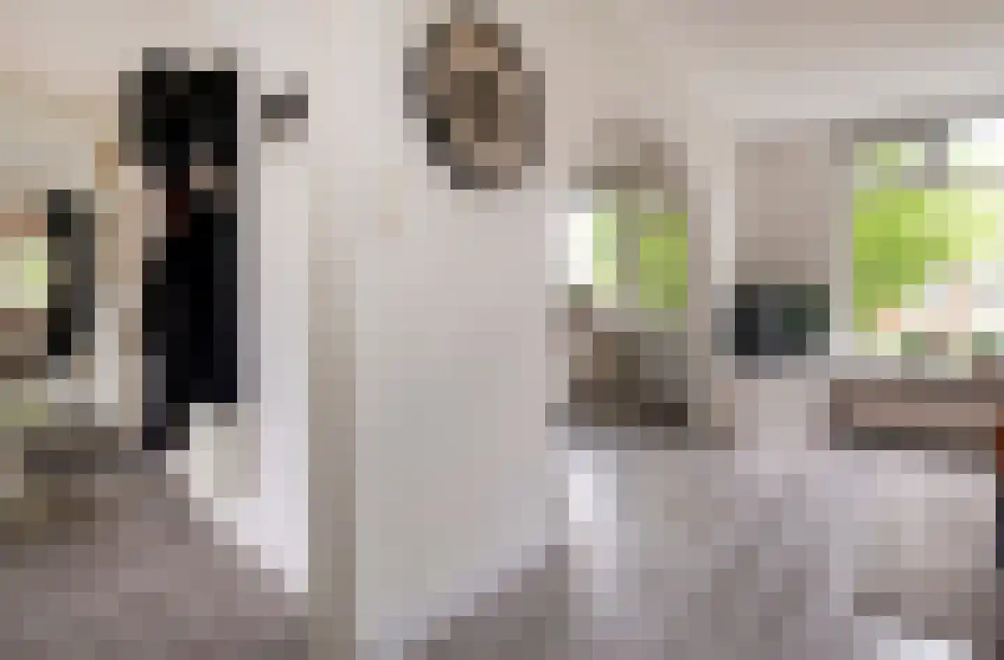 Nobellaan 48 Assen thumbnail 19